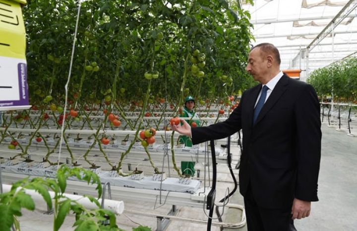 Prezident Zirədə “BAKU AGROPARK”da! - YENİLƏNİB