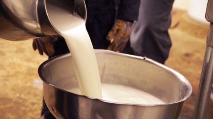 Daha bir süd emalı müəssisəsi işə düşəcək