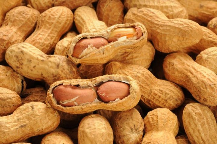 60 sot ərazidən 1 ton yerfıstığı gözləyir
