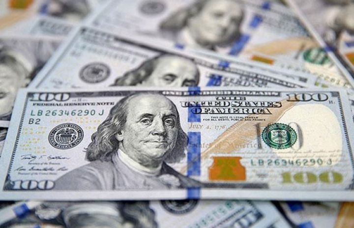 Dollar ilə bağlı kritik məlumatlar açıqlanacaq
