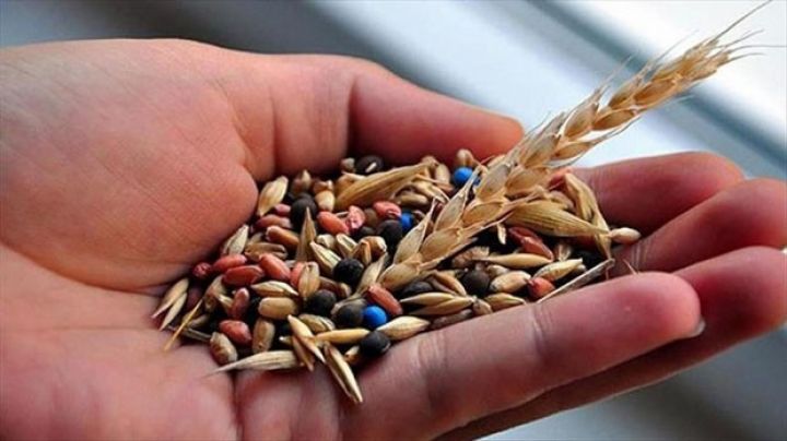 Toxuma uyğunluğu qiymətləndirən qurumlar baxacaq