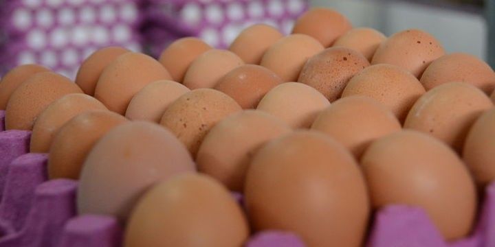 Türkiyənin toyuq əti və yumurta ixracı 1 milyard dollara yaxınlaşıb