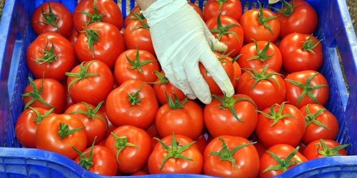 Rusiyaya ixracı 50 faizdən çox artıb