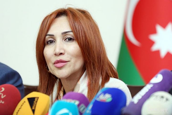 "Kağız, parça torbalara dönək, həsir zənbillərdən istifadə edək"