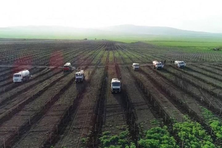 Əliyev: Qaxda aqroparkın yaradılmasına sərmayələr 13 milyon manat təşkil edib
