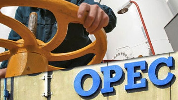OPEC Azərbaycanla daimi ittifaq yaratmağa çalışır