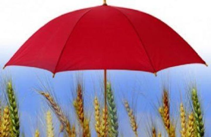 Aqrar sığorta məhsullarının satışı üçün ayrıca şirkət yaradılacaq