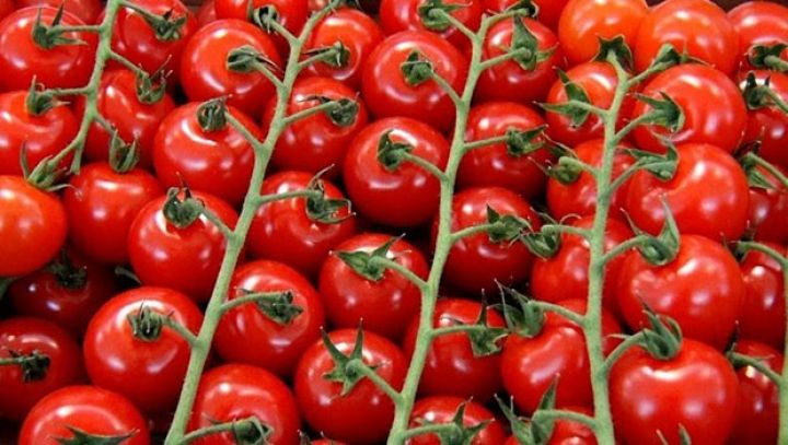 Azərbaycanın xaricə pomidor satışından gəliri açıqlandı