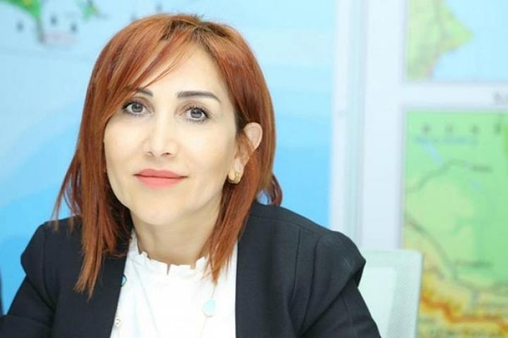 "Bizim əməkdaşlar və məhkəmə icraçıları gəlib manqallardan istifadəni dayandıracaq"