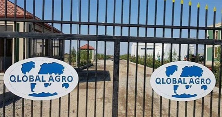 “Qlobal-Aqro”da son tamamlanma işləri görülür