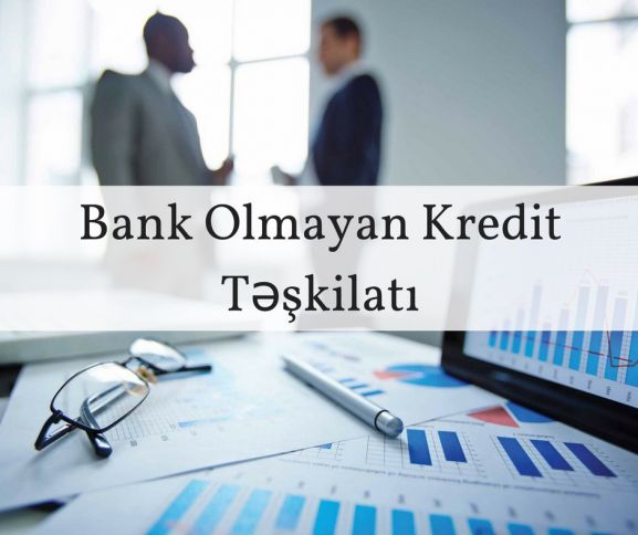 BOKT sektorunda kredit portfelinin keyfiyyəti pisləşib - Qeyri-işlək kreditlər artıb