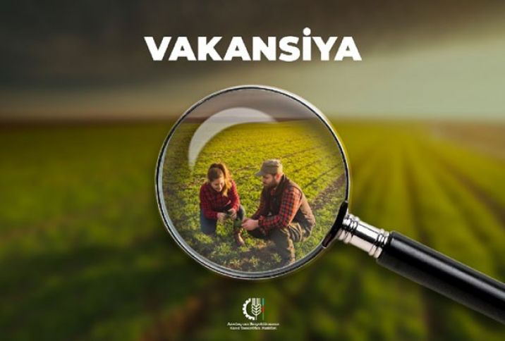 435 vakant vəzifə üzrə işə qəbul elan edildi