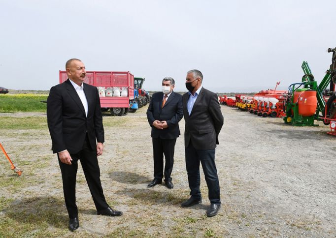 Prezident İlham Əliyev pambıq tarlası ilə tanış olub