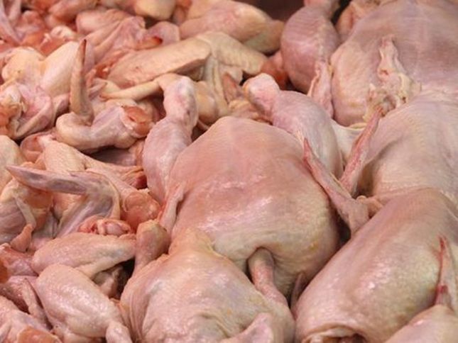 İranın 5 əyalətindən quşçuluq məhsullarının idxalına məhdudiyyət qoyuldu