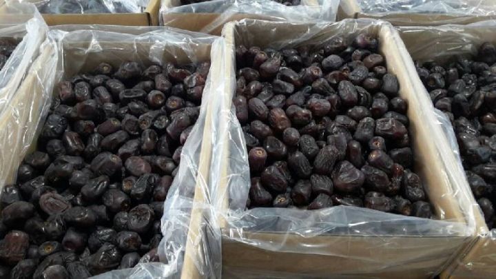 İraqdan idxal olunan xurmada kif göbələyi aşkarlanıb