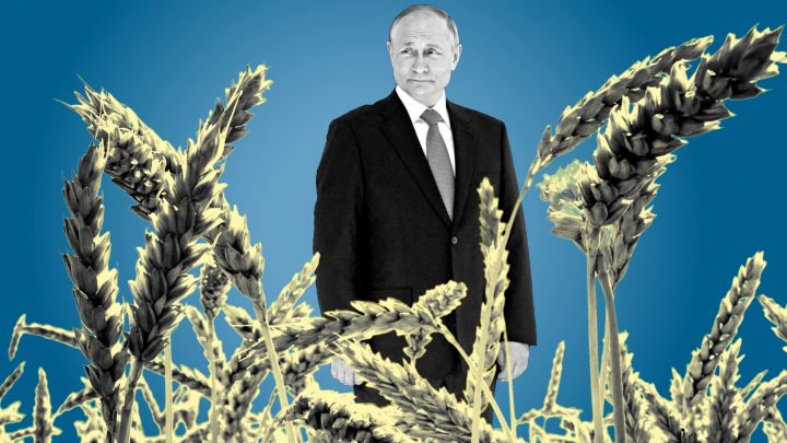 Rusiyanın yeni “silahı”: taxıl