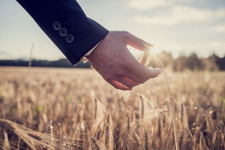 Aqrar sığorta eksperti olmaq istəyənlər üçün yeni imtahan mərhələsi başlayır