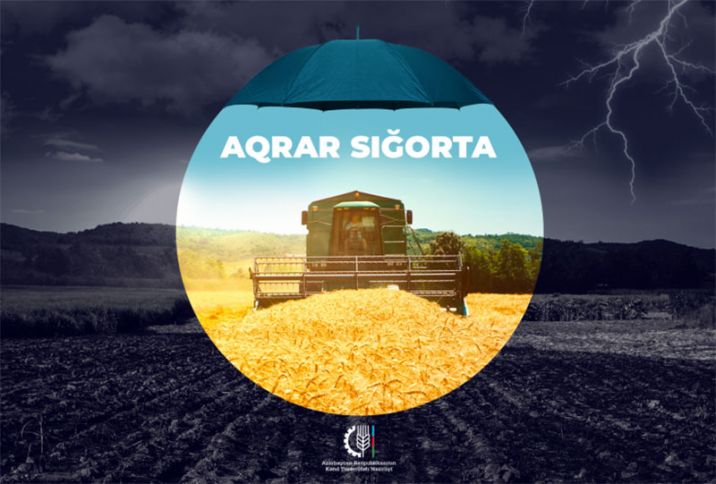 Aqrar Sığorta Fondu fermerləri sığorta üçün dəqiq məlumatlar verməyə çağırıb