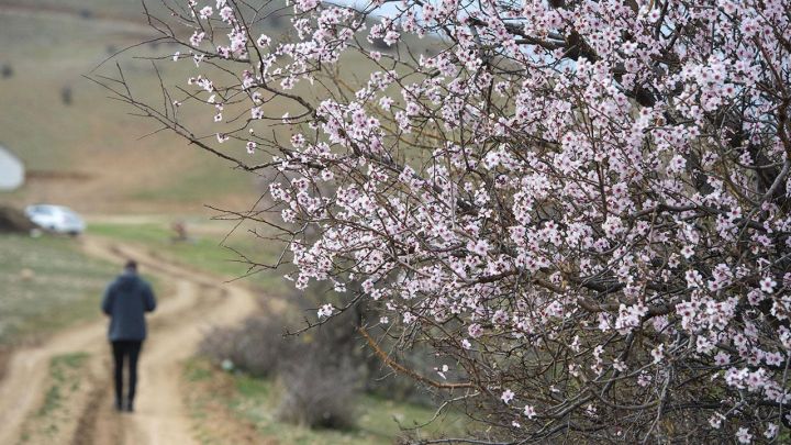 May ayı üçün gözlənilən hava proqnozu açıqlandı