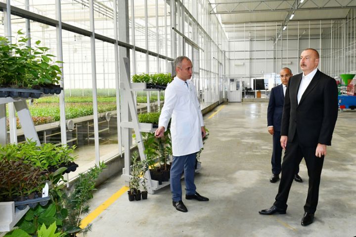 Meyvə və digər bitki tingləri yetişdirən 21 milyon manatlıq layihə