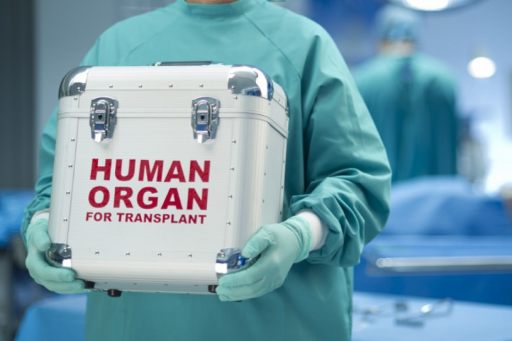 Klinikalarda qanunsuz transplantasiyaya görə yeni cəzalar müəyyənləşir