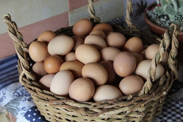 Türkiyə Rusiyaya yumurta ixracına başlayıb