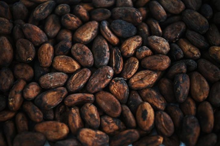 Şokoladın xammalının qiyməti ilk dəfə 4 min dolları keçib