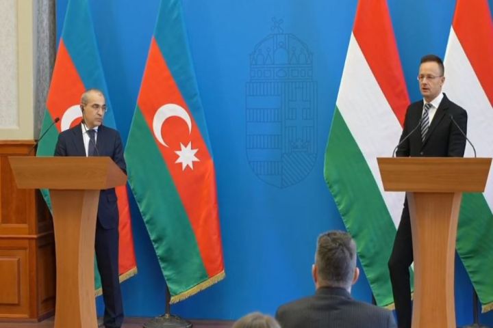 Dörd ölkə Avropa İttifaqından Azərbaycan qazının nəqlini təmin etməyi xahiş edir
