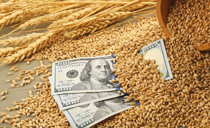 1 ton buğdanın orta idxal qiyməti 48 dollar bahalaşıb
