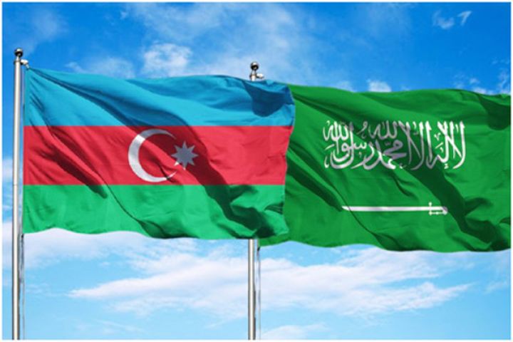 Diplomatik və xidməti pasport sahibləri qısamüddətli vizadan qarşılıqlı azad edib