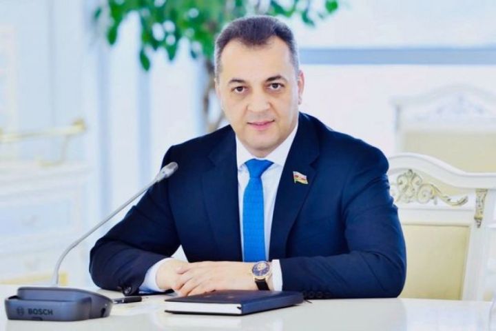 "Sosial şəbəkələr cəngəllik qanunları ilə idarə olunur, qanun qəbul edilməlidir"