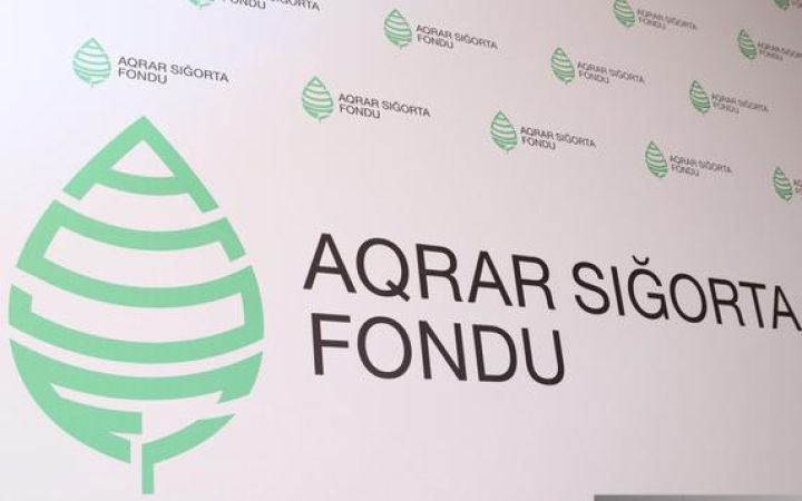 Aqrar Sığorta Fondunun idarəedici şirkətinin aktivləri azalıb
