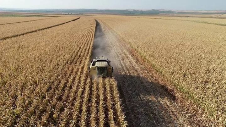 Dekabrda dünya ərzaq qiymətləri düşüb
