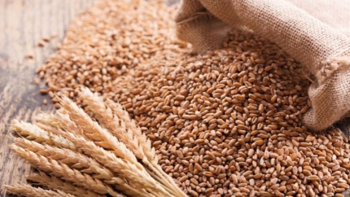 Soya yağı və buğda qiymətlərində artım