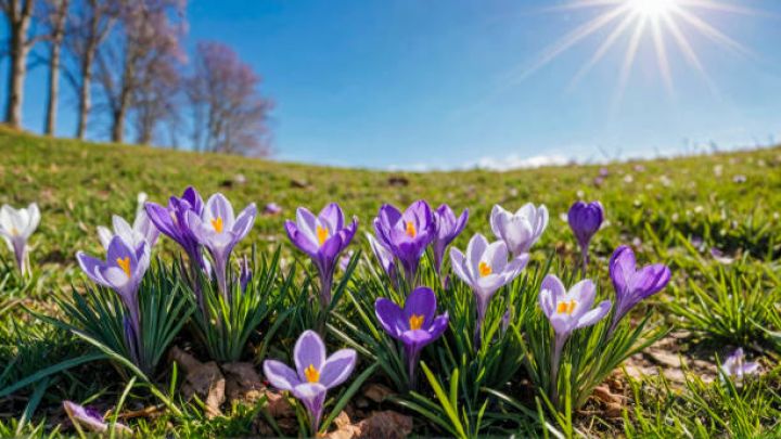Bayram günlərinin hava proqnozu açıqlanıb