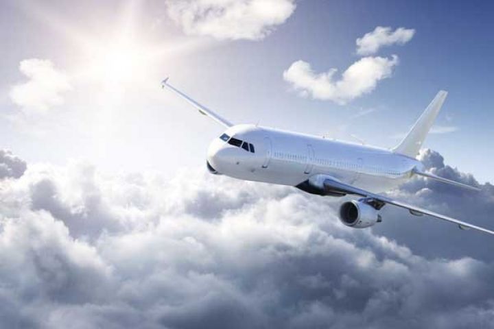 Hindistan loukosteri Azərbaycana aviareys açmağı planlaşdırır