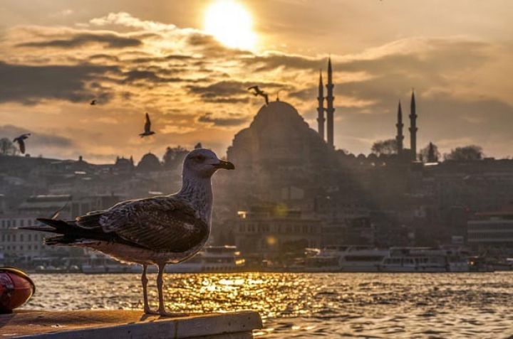 Sayında 28% artım olub