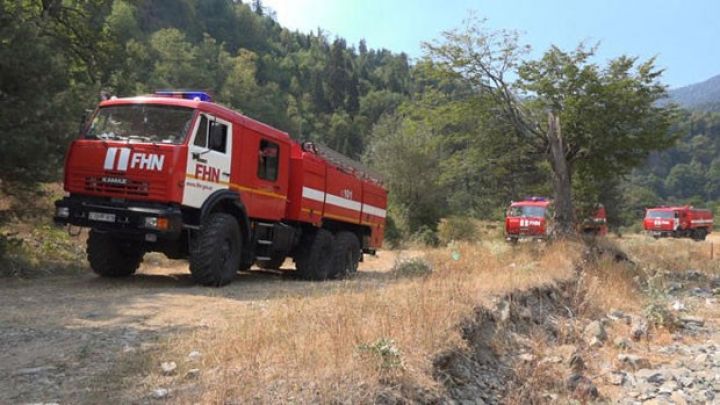 Qəbələdə meşə yanğınları tam söndürüldü