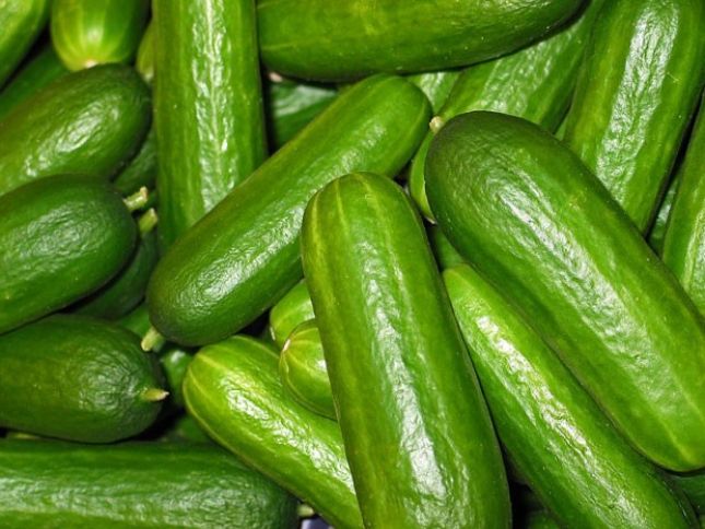 Hər şitildən 8-10 kiloqram məhsul dərib,  Rusiya bazarlarına çıxarır