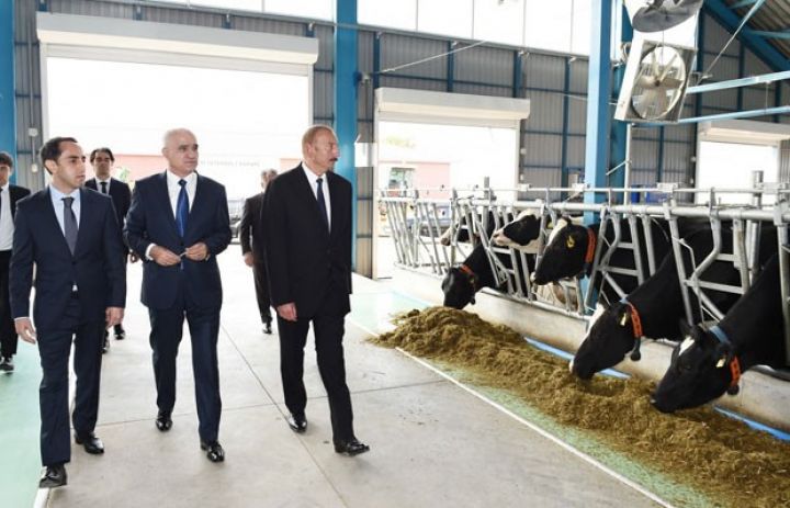 AZZA-nın 1000 başlıq heyvandarlıq kompleksi açıldı