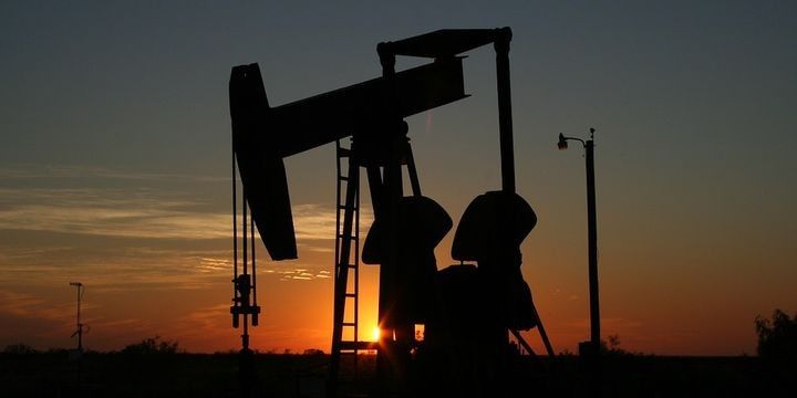 Əlcəzairin neft şirkəti Nigerdə böyük neft ehtiyatı tapıb