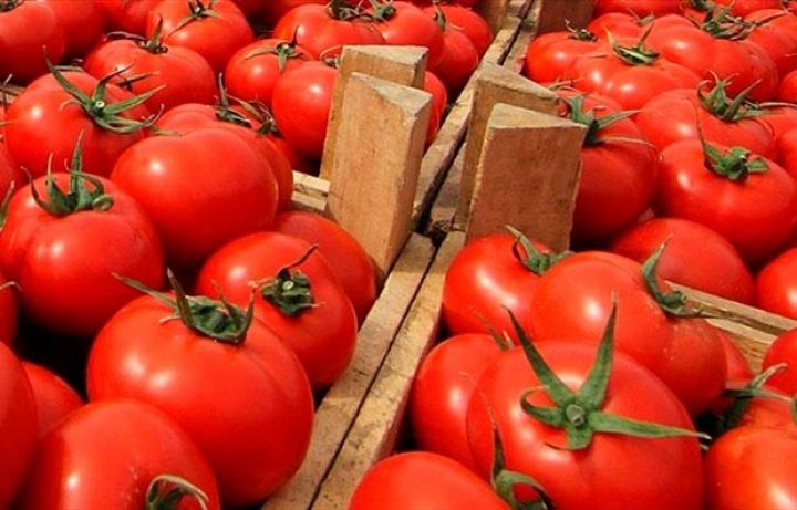 5 ayda gətirdiyi valyuta 100 milyon dolları aşdı