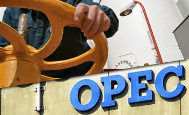 Birləşmiş Ərəb Əmirlikləri OPEC-i tərk edir