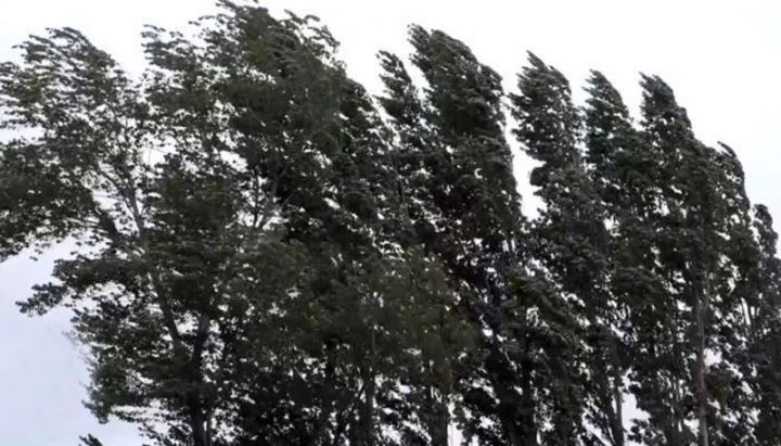 Bakıda və bəzi bölgələrdə külək güclənəcək - XƏBƏRDARLIQ