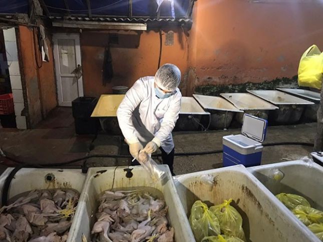 Bakıda natəmiz quş kəsimi sexi aşkarlandı