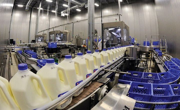 İri süd emalı zavodu tikilir - süd məhsulları ilə yanaşı....