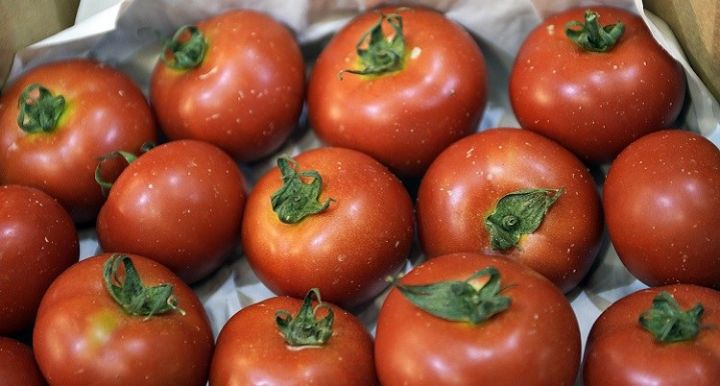 Azərbaycandan pomidor ixracı üzrə gəlir 2 dəfə artıb