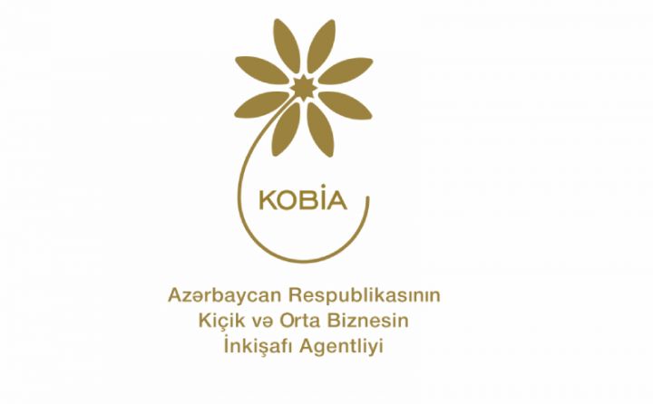 İlk 3 ayda 1000-dən çox KOB subyekti və biznesə başlamaq istəyən şəxsə təlim və məsləhət xidməti göstərilib