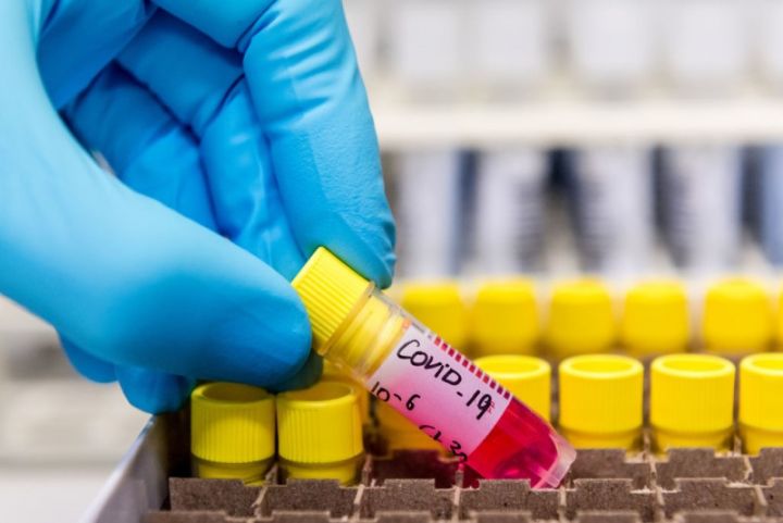 Azərbaycanda koronavirus ilə bağlı son vəziyyət açıqlandı