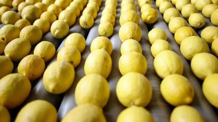 Türkiyə limon ixracını dayandırmaq barədə qərarını təxirə saldı